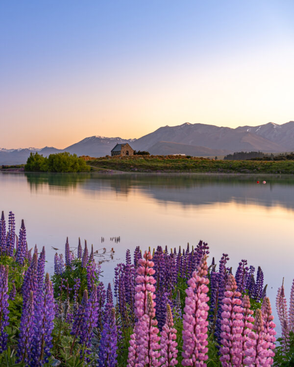 New Zealand Map + Travel & Photography guide - Image 14