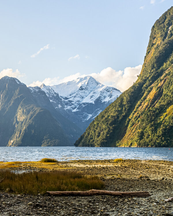 New Zealand Map + Travel & Photography guide - Image 15