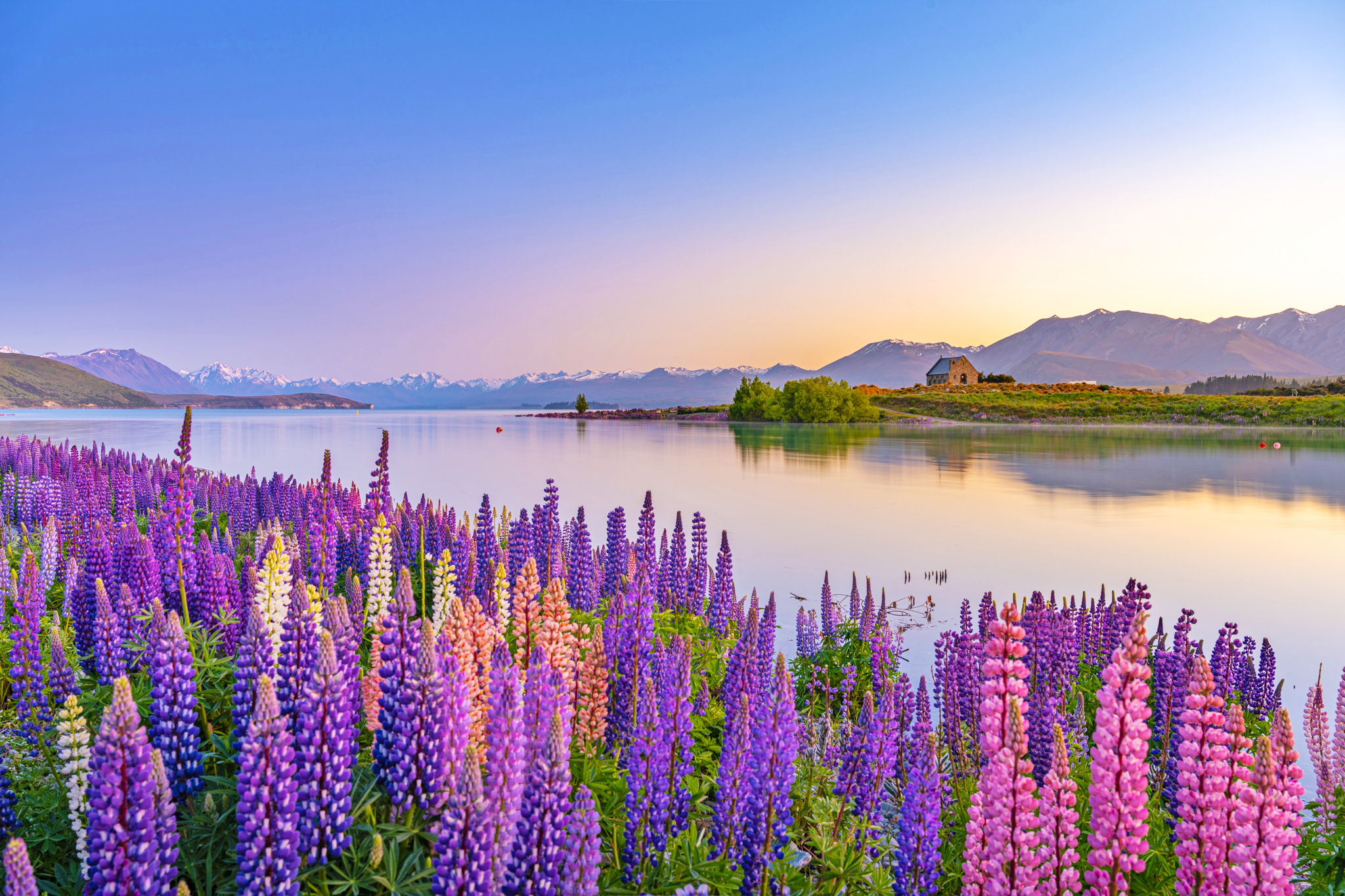 Lake Tekapo